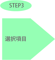 STEP3 選択項目